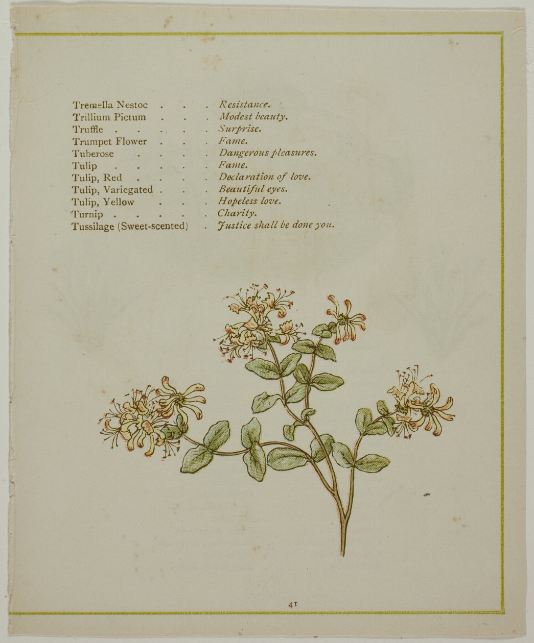 Valerian Through Volkamenia, de The Illuminated Language of Flowers de Kate Greenaway