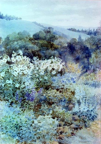 Em um Jardim Sul Africano, c.1900-10 (aquarela) de Kate Haith