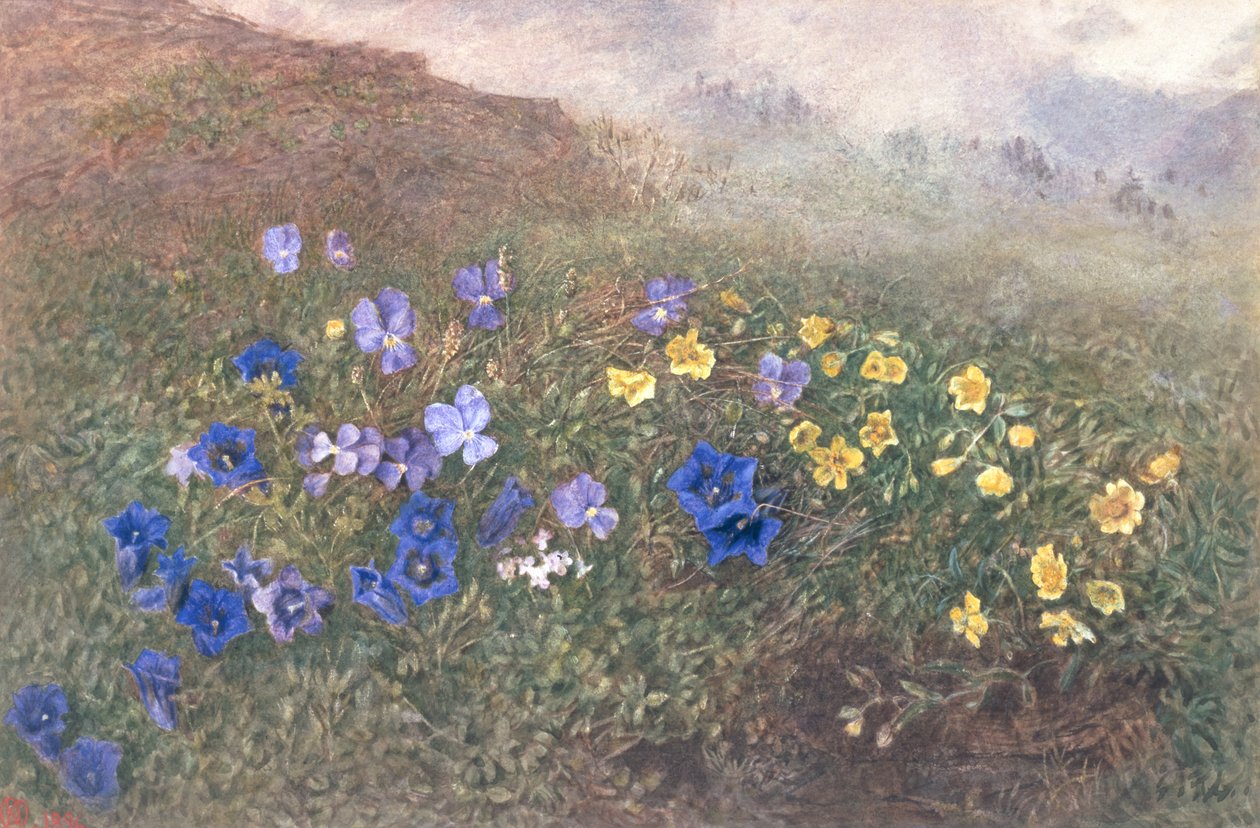 Flores da montanha da mola, 1896 de Kate fl.1873 96 Goodwin