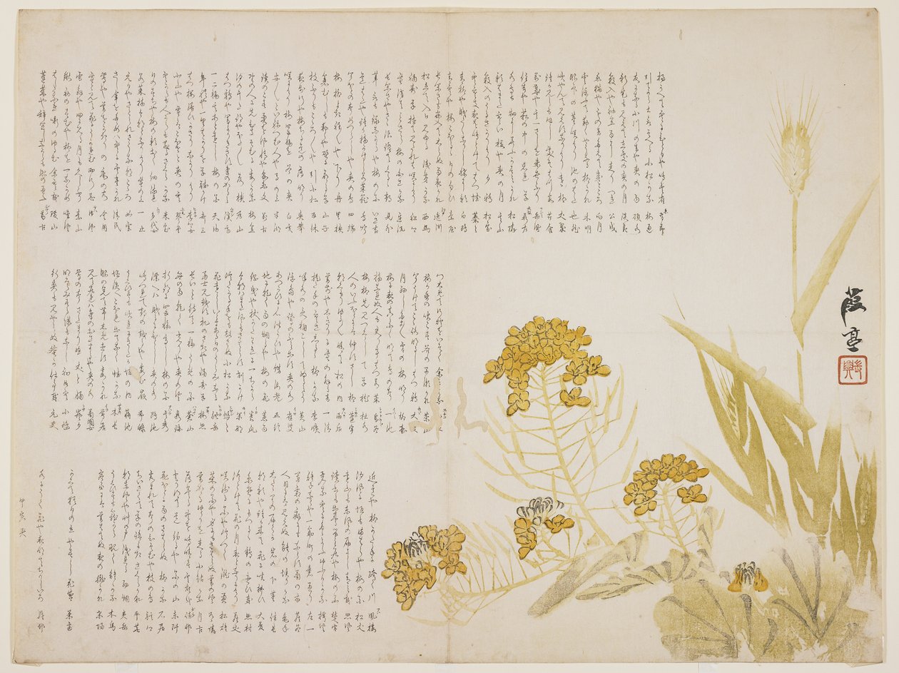 Flor de estupro e trigo, 1854 (impressão em xilogravura a cores) de Katei