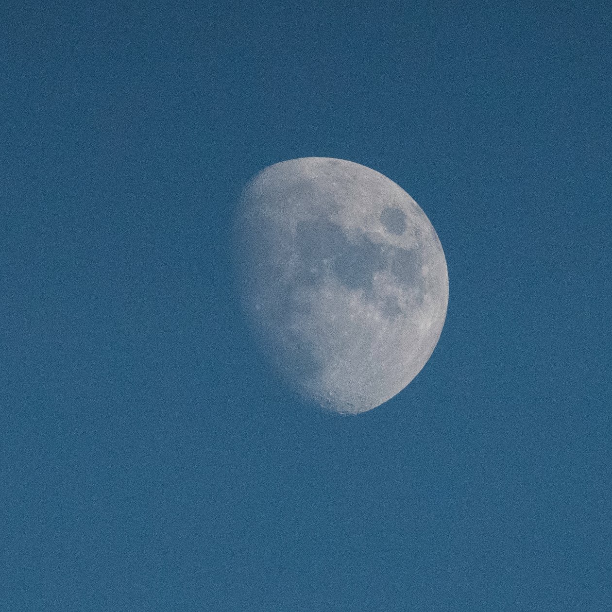 Look At The Moon, 2021 (foto) de Katha Wood