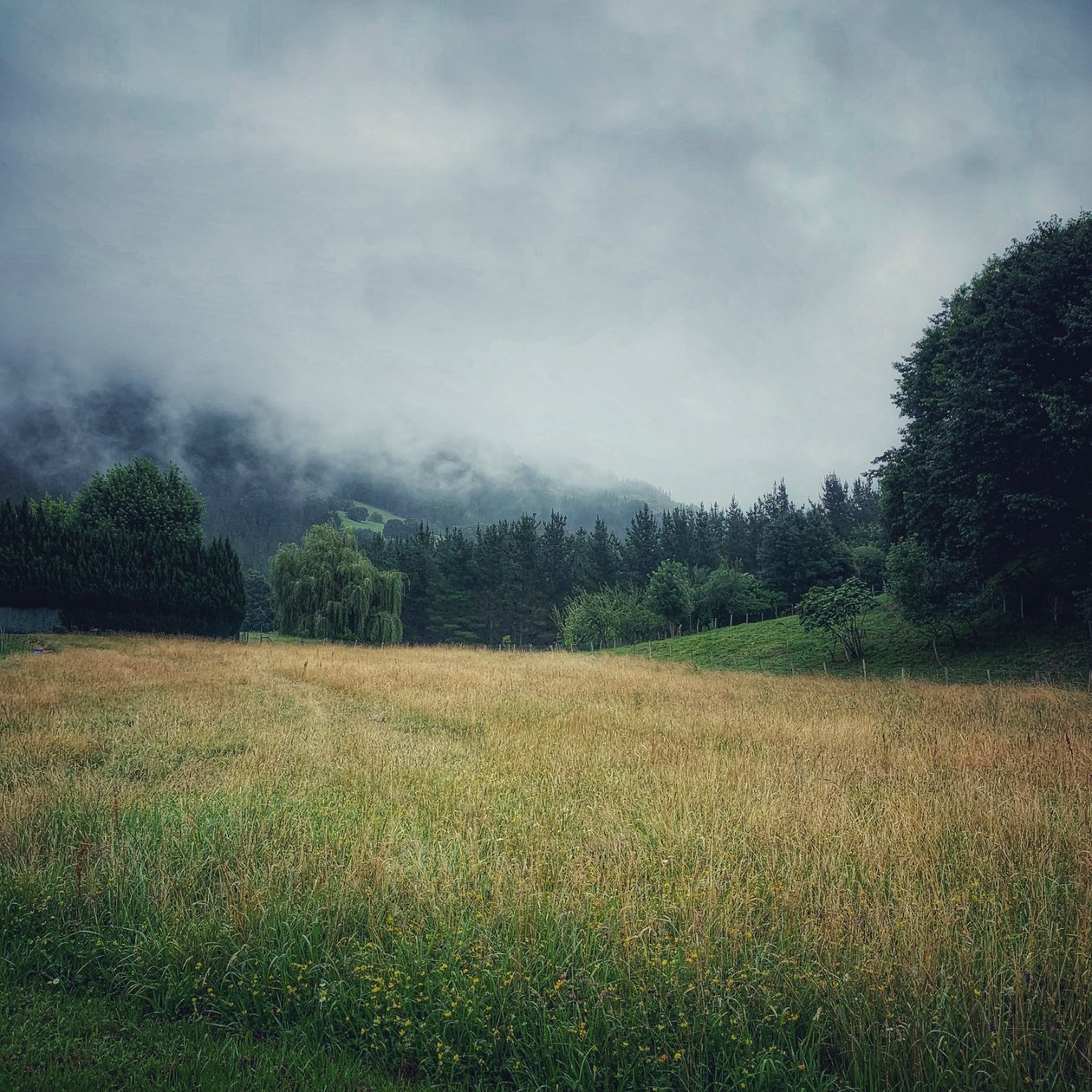 Misty Mountains, 2021 (foto) de Katha Wood