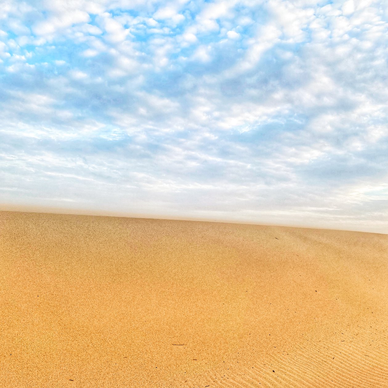 Praia deserta surrealista de Katha Wood