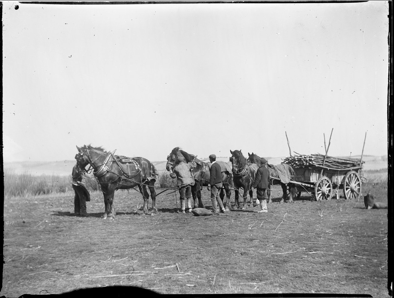 Broomfield, Broomfield And Kingswood, Maidstone, Kent, 06/04/1904 (foto a p/b) de Katherine Jean Macfee