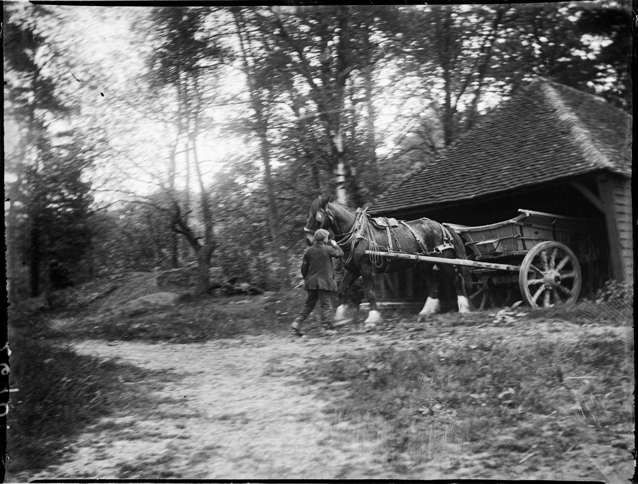 Groombridge, Speldhurst, Tunbridge Wells, Kent, 20/05/1911 (foto a p/b) de Katherine Jean Macfee