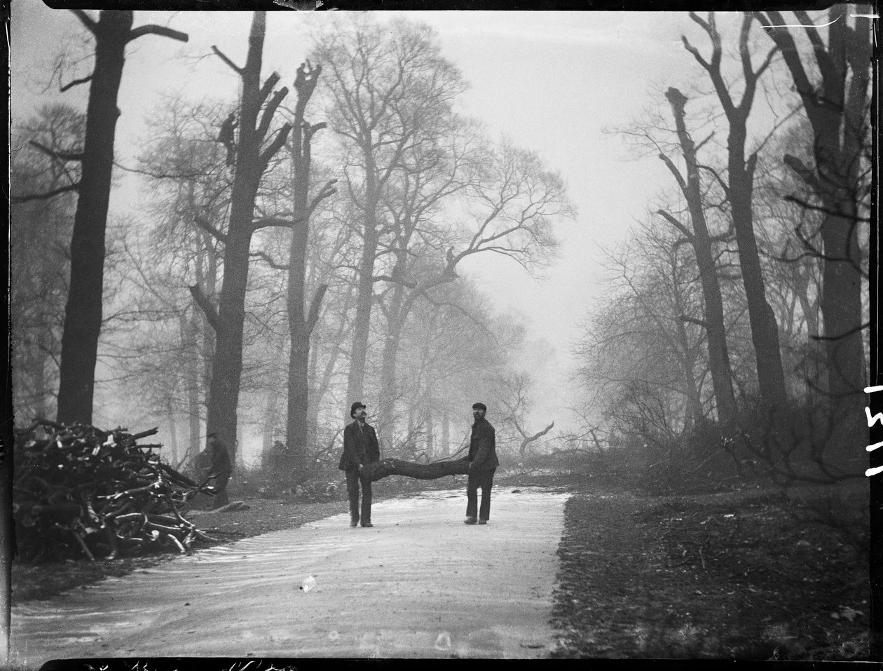 Kensington Gardens, Hyde Park, City Of Westminster, Londres, 26/01/1907 (foto a p/b) de Katherine Jean Macfee