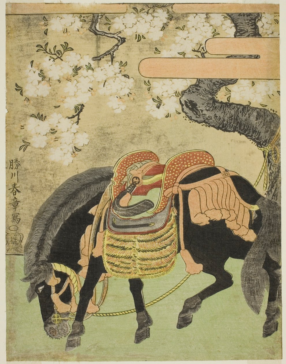 Cavalo preto amarrado sob uma cerejeira em flor de Katsukawa Shunsho
