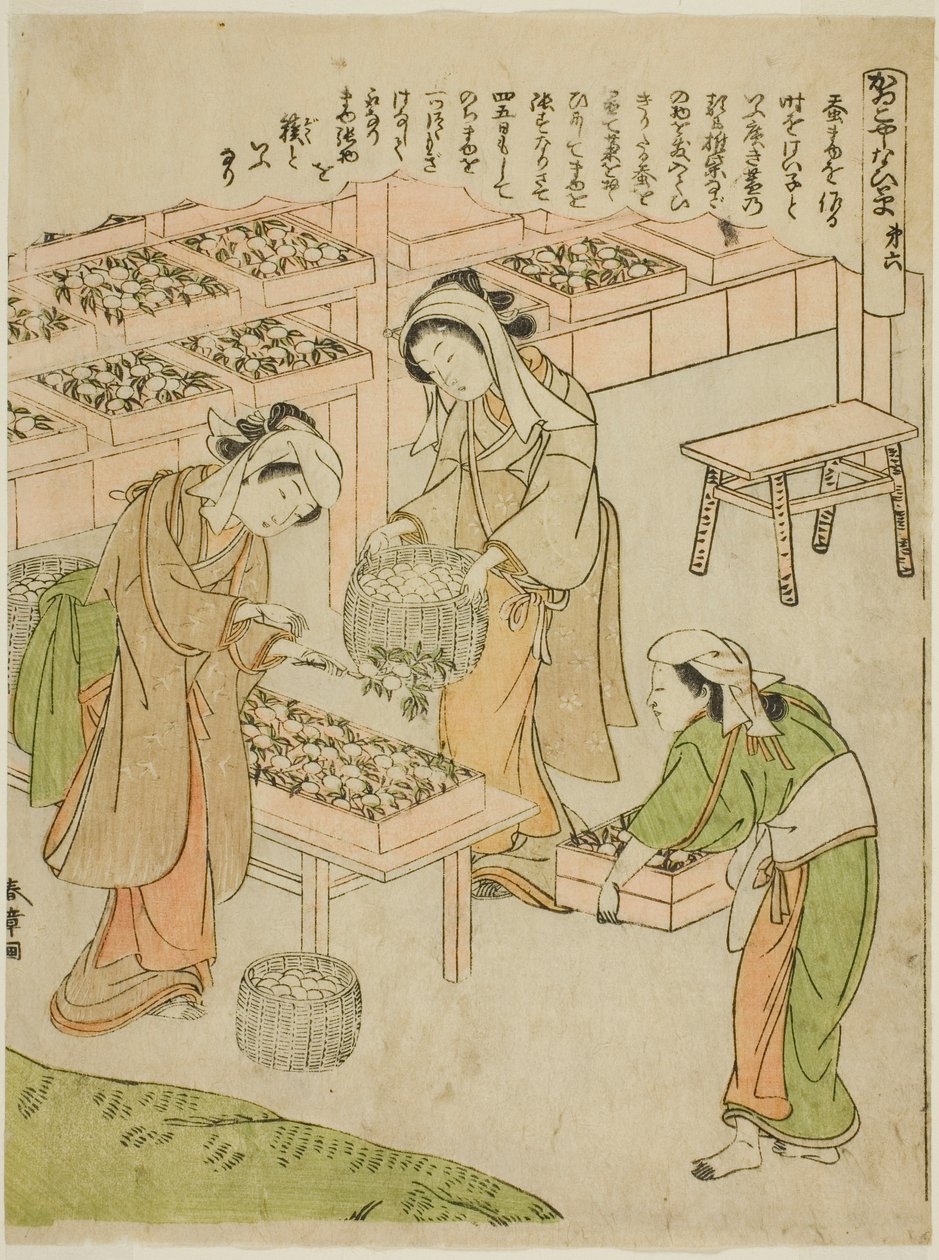 Placa 6 (Examinando os Casulos Recém-Fiados), da série "Kaiko Yashinai-gusa" de Katsukawa Shunsho