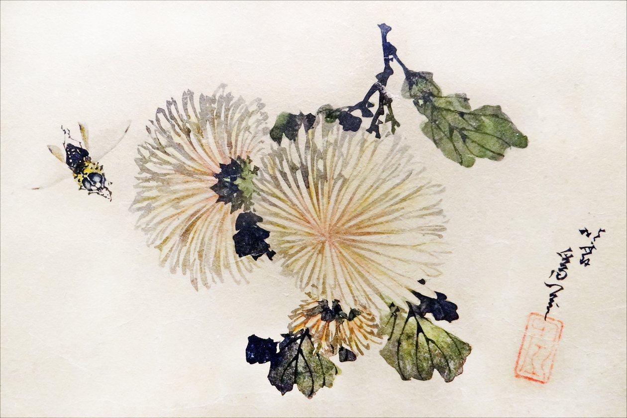 Arte De Crisântemo de Katsushika Hokusai