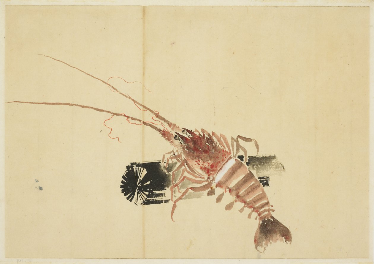 Ebi (camarão gigante) de Katsushika (school of) Hokusai