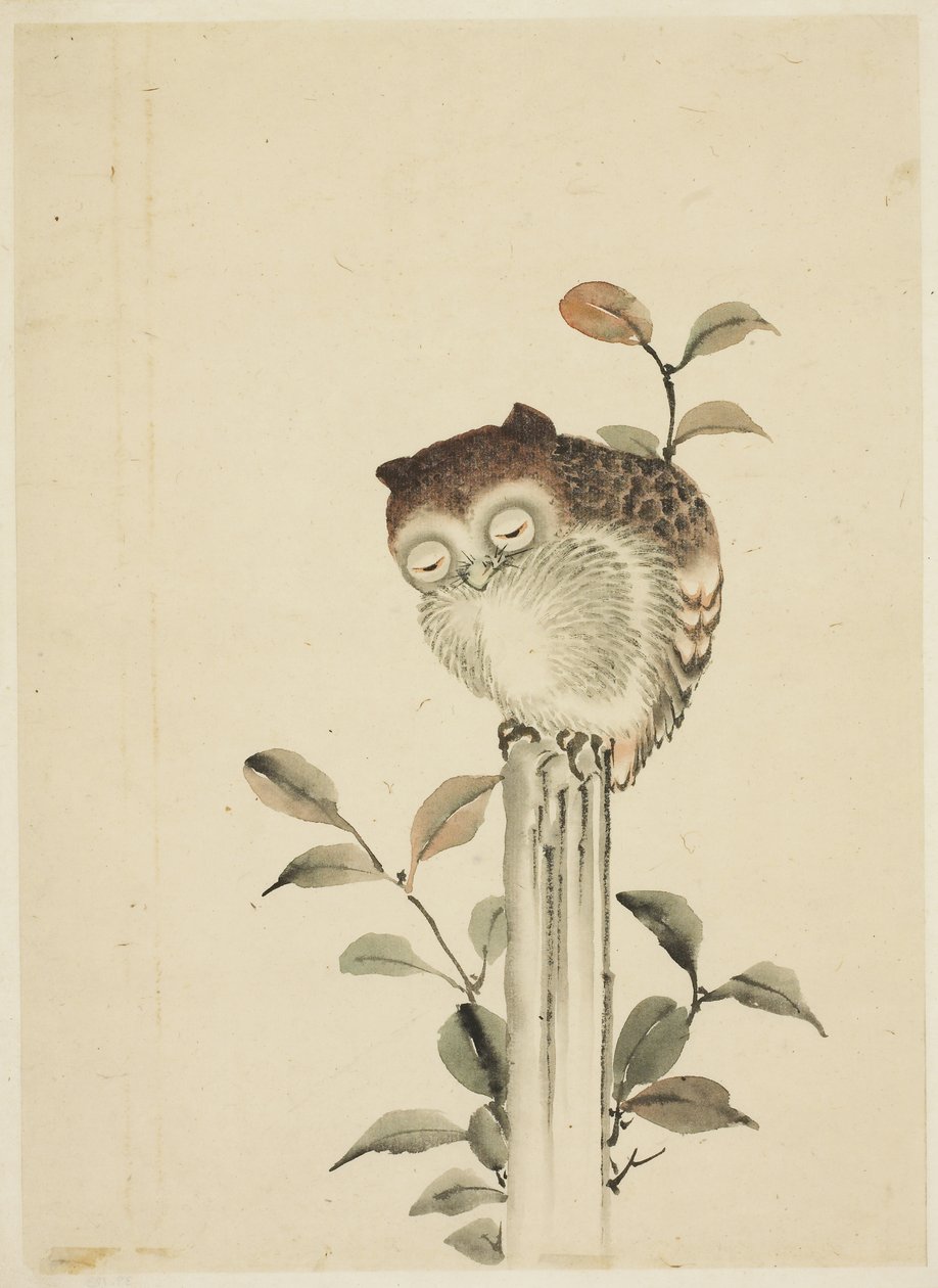Coruja dormindo em um toco de Katsushika (school of) Hokusai