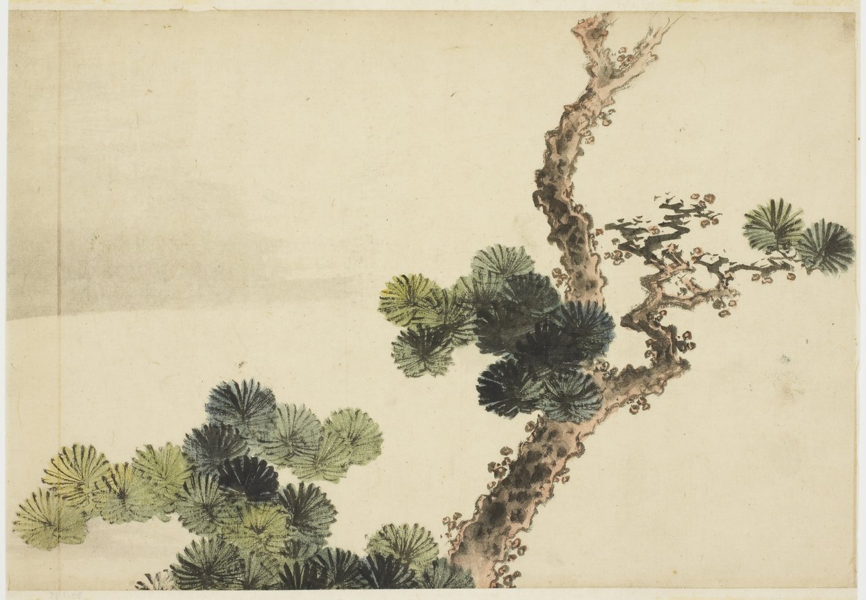 Pine Bough de Katsushika (school of) Hokusai
