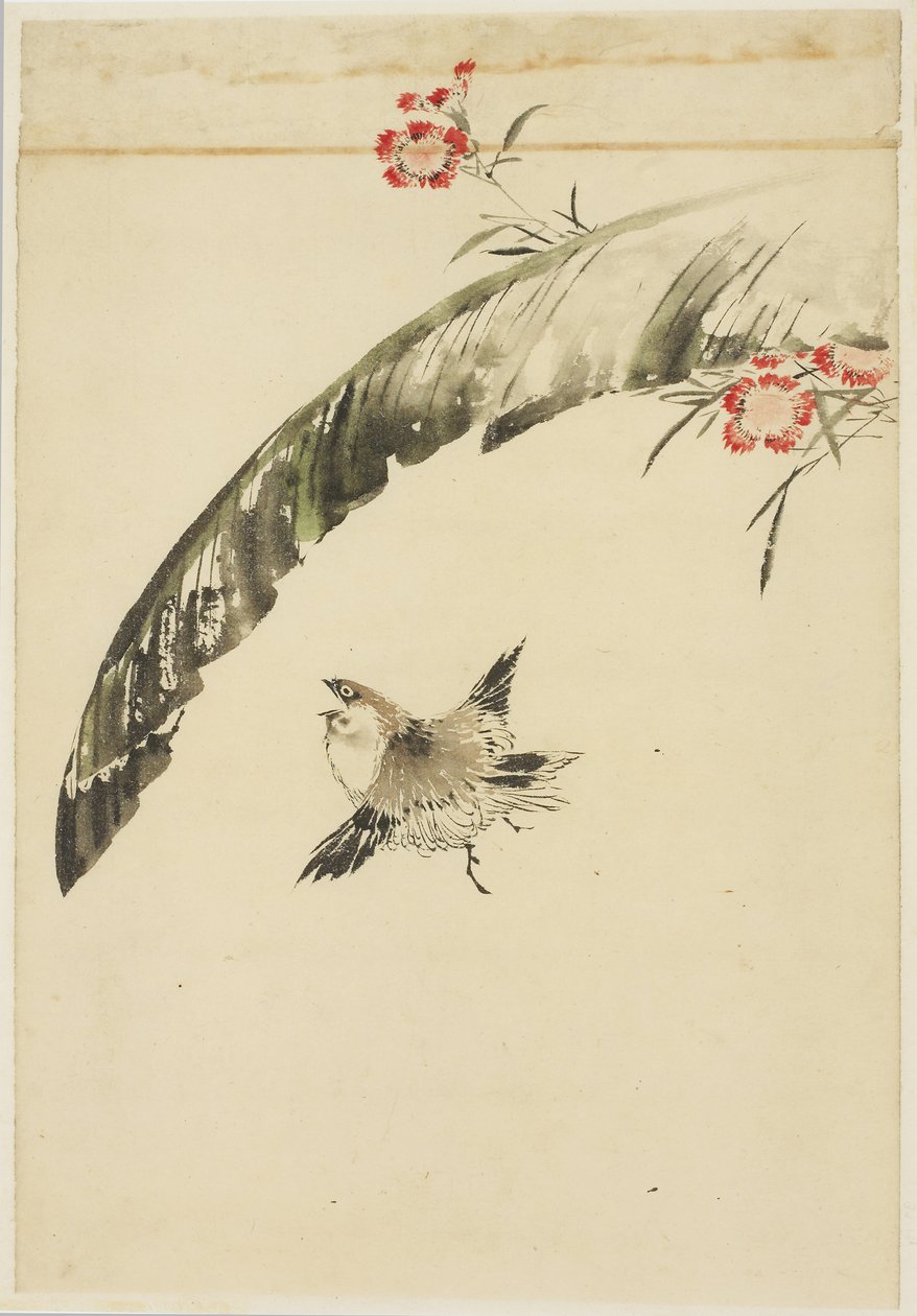 Sparrow and Banana Leaf and Pinks, 1615-1868 (tinta e cor no papel) de Katsushika (school of) Hokusai