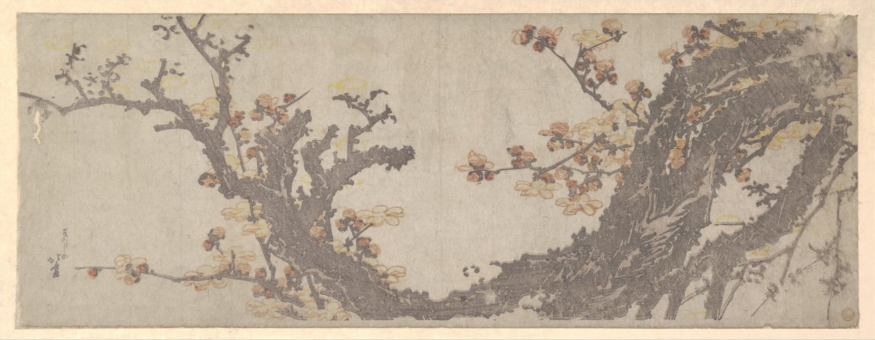 A antiga ameixeira em flor de Katsushika Hokusai