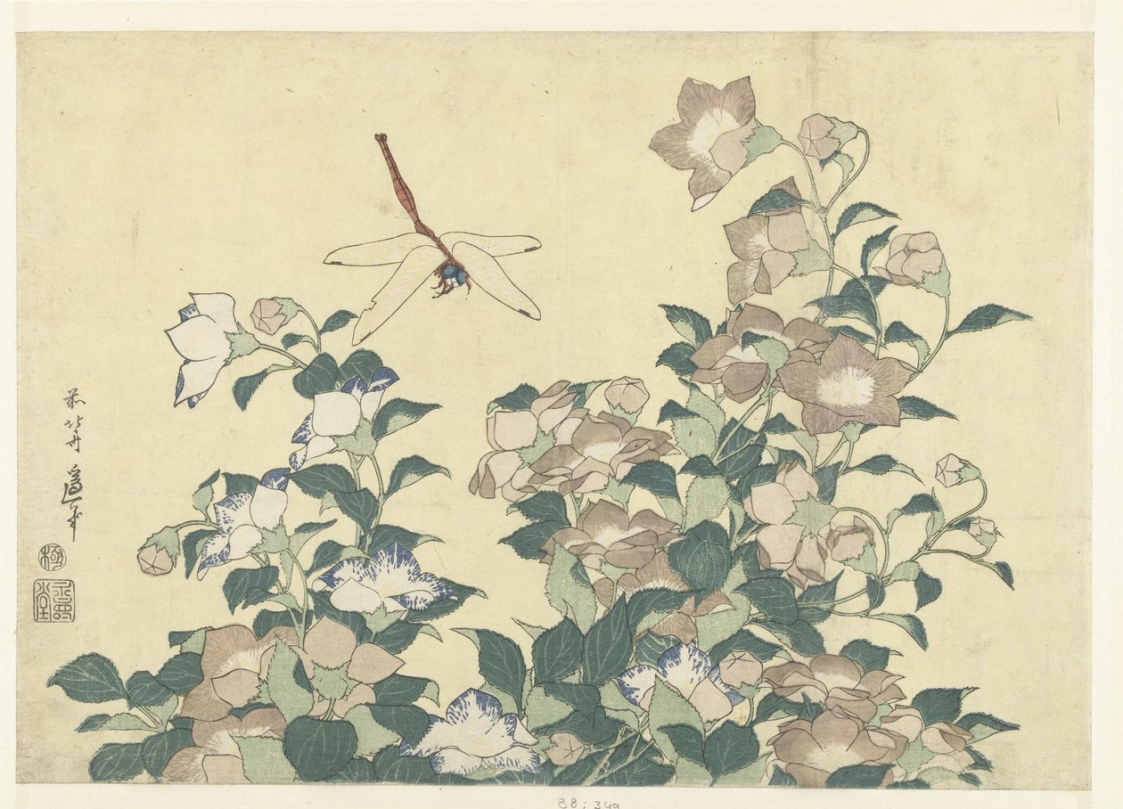 Sino de balão e libélula de Katsushika Hokusai