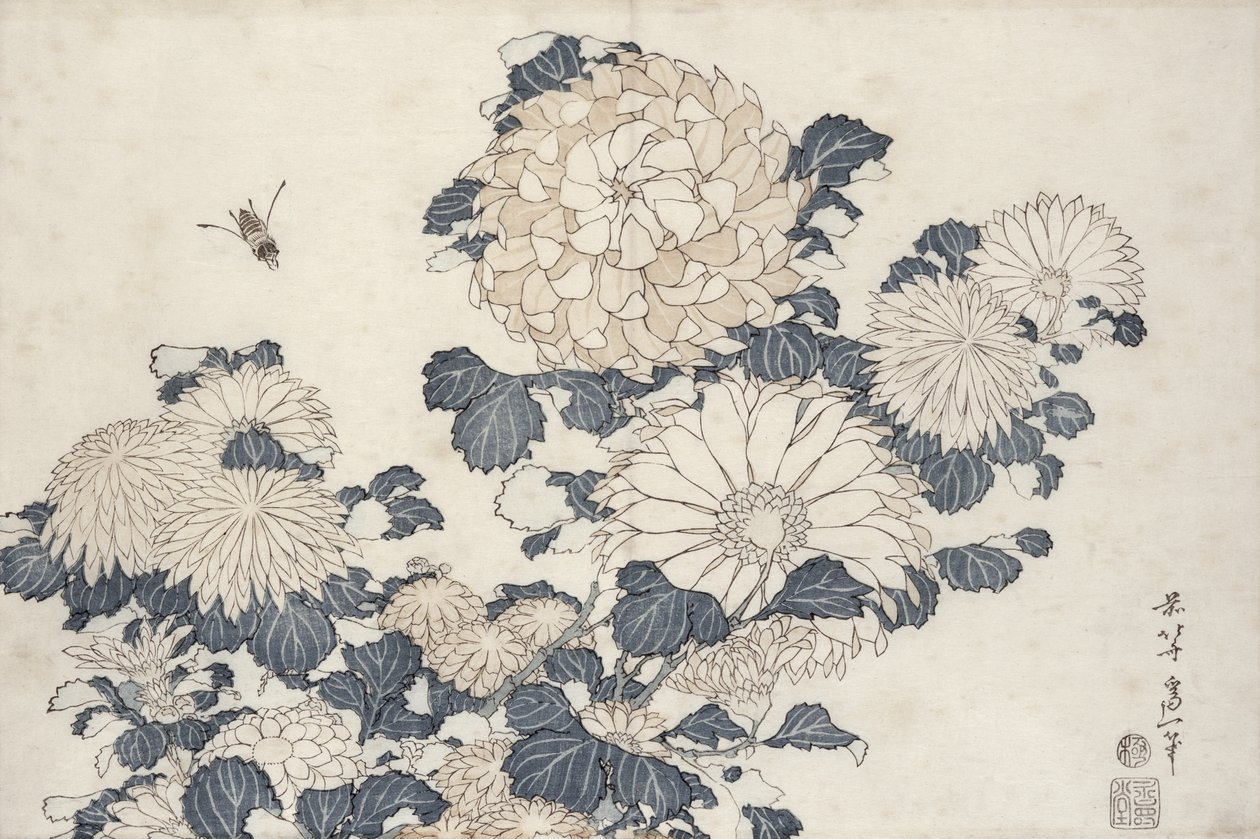 Abelha e crisântemos, da série &39;Big Flowers&39; (impressão em xilogravura a cores) de Katsushika Hokusai