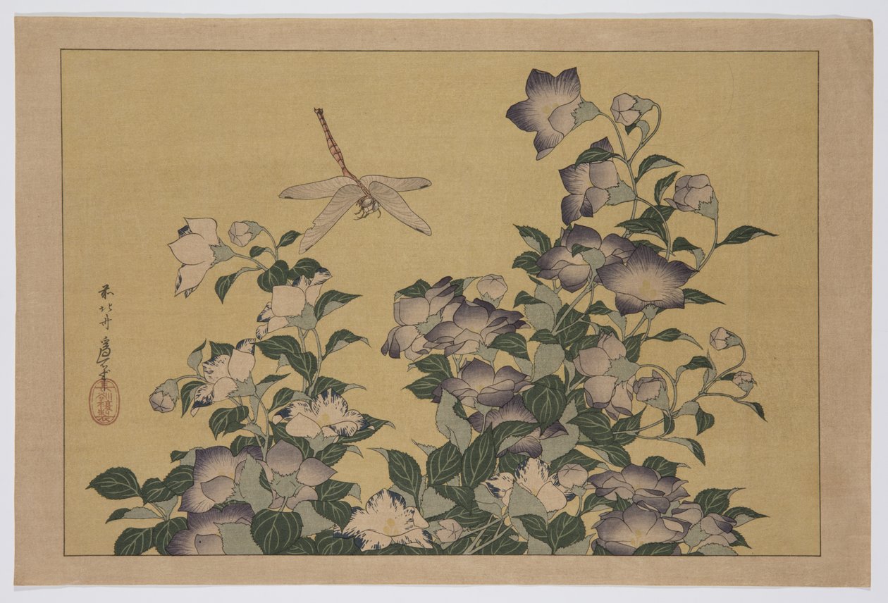 Bellflower and Dragonfly (impressão em bloco de madeira a cores) de Katsushika Hokusai