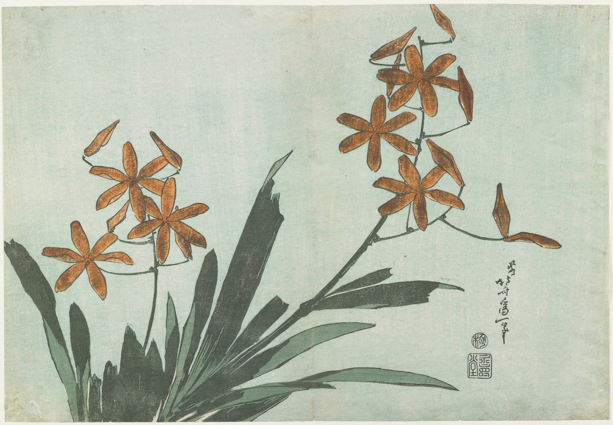 Lírios de amora-preta, c. 1832 de Katsushika Hokusai