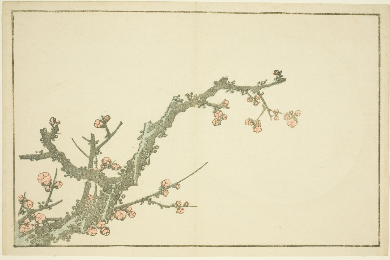 Blooming Plum Tree, do livro ilustrado de pinturas realistas de Hokusai (Hokusai shashin gafu) de Katsushika Hokusai
