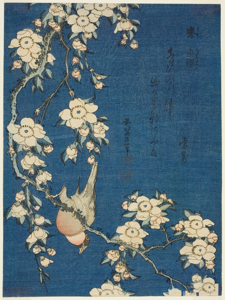 Dom-fafe e cerejeira-chorona (Uso, shidarezakura) de Katsushika Hokusai