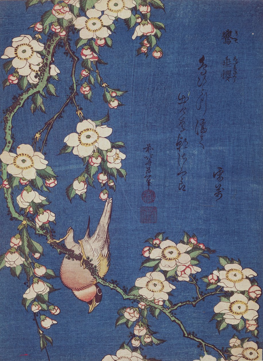 Dom-fafe e chorando cereja-árvore, pub. c.1834 (impressão em xilogravura a cores) de Katsushika Hokusai
