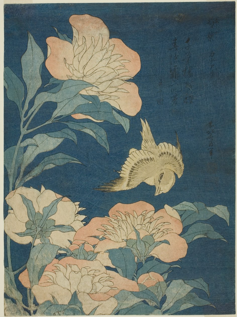 Canário e Peônia (Canário, shakuyaku), de uma série sem título de flores e pássaros de Katsushika Hokusai