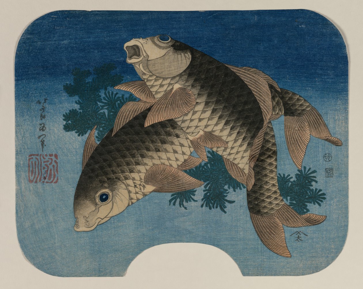 Carpa nadando perto de ervas daninhas de Katsushika Hokusai