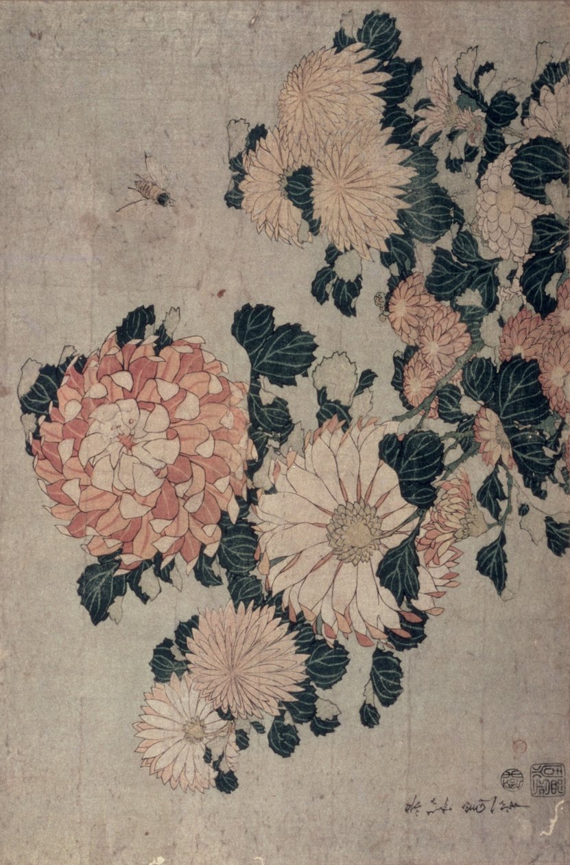 Crisântemos (woodblock cor) de Katsushika Hokusai