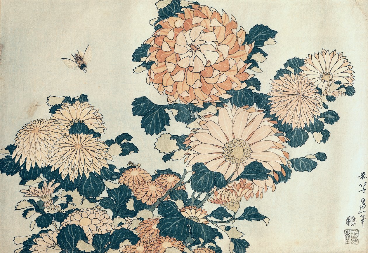 Crisântemos (impressão em xilogravura a cores) de Katsushika Hokusai