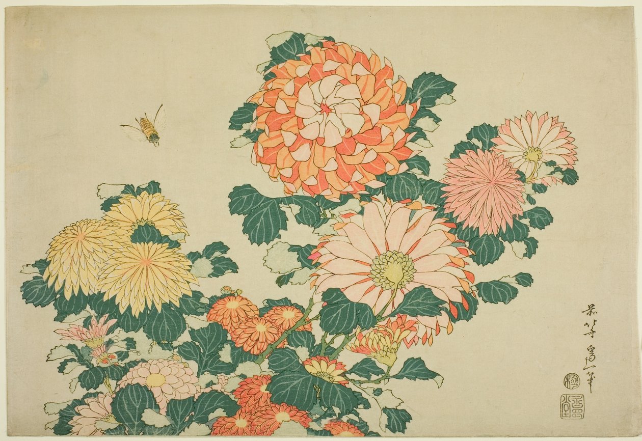 Crisântemos e Abelha, de uma série sem título de Flores Grandes de Katsushika Hokusai