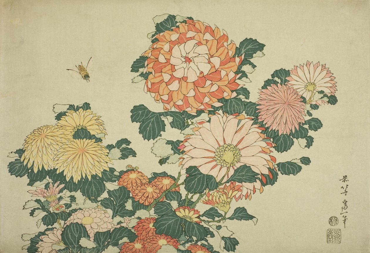 Crisântemos e abelha, de uma série sem título de flores grandes, c.1833-34 de Katsushika Hokusai
