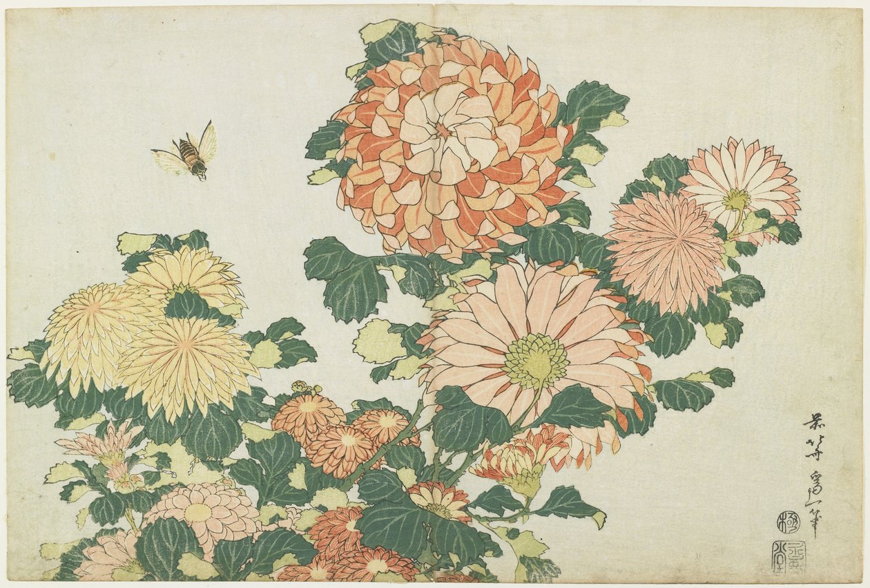 Crisântemos e mosca de cavalo, c. 1832 de Katsushika Hokusai
