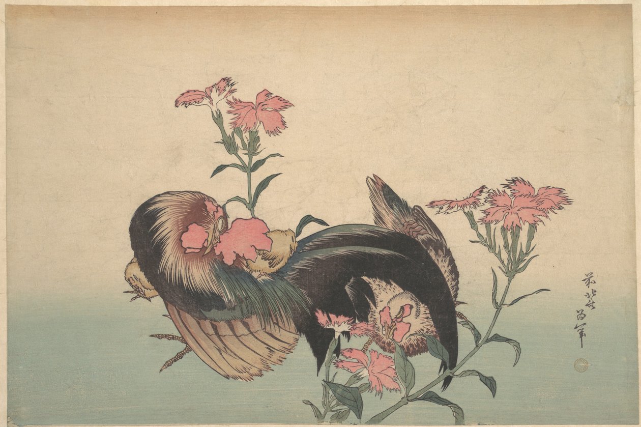 Galo, Galinha e Nadeshiko (Dianthus Superbus) de Katsushika Hokusai