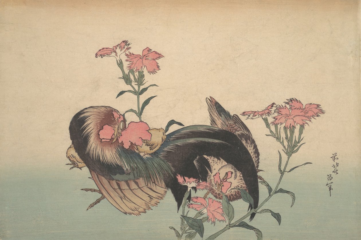 Galo, Galinha e Nadeshiko Dianthus Superbus. de Katsushika Hokusai
