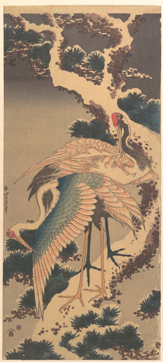 Grus num ramo de pinheiro coberto de neve de Katsushika Hokusai