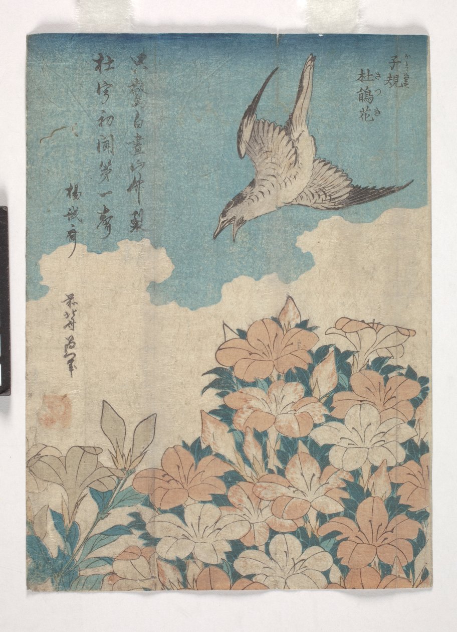 Cuco e Azalea (xilogravura colorida) de Katsushika Hokusai