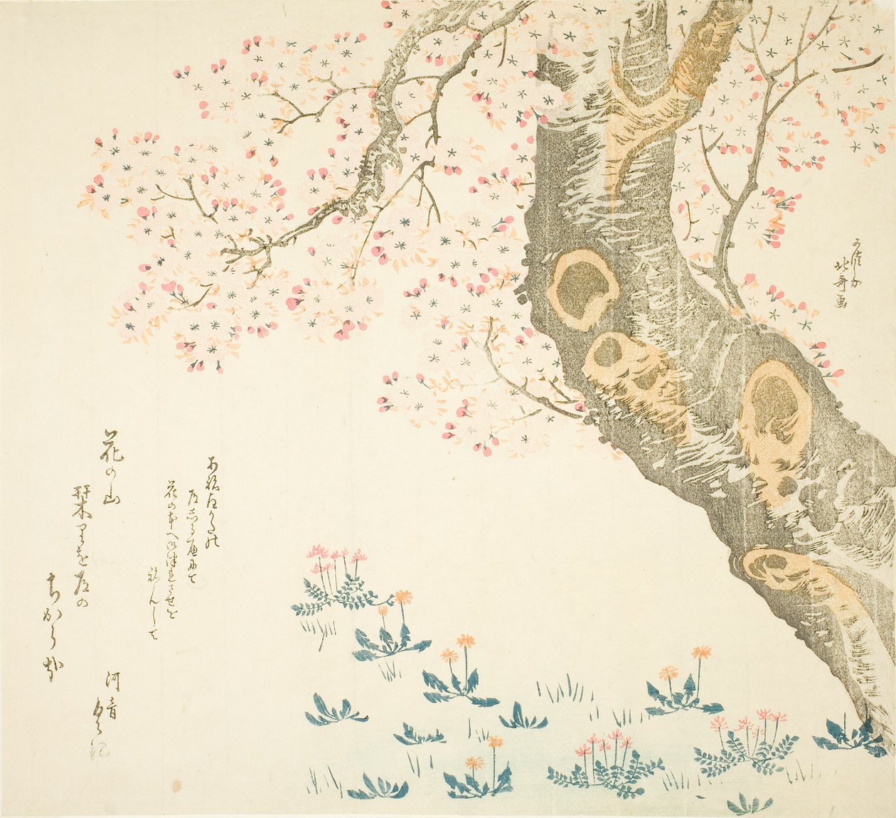 Dentes-de-leão e trevos sob cerejeira de Katsushika Hokusai