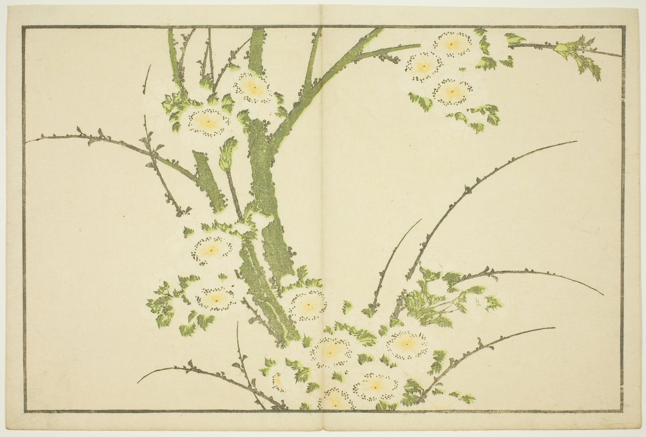 Flores, do livro ilustrado de pinturas realistas de Hokusai (Hokusai shashin gafu) de Katsushika Hokusai