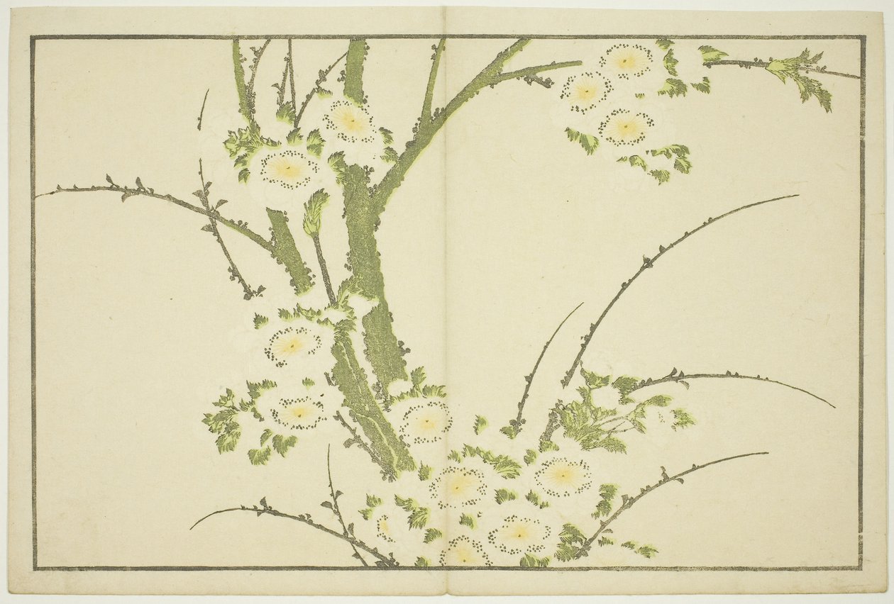 Flores, de The Picture Book of Realistic Paintings of Hokusai (Hokusai shashin gafu), c.1814 (xilogravura a cores (folha de álbum)) de Katsushika Hokusai