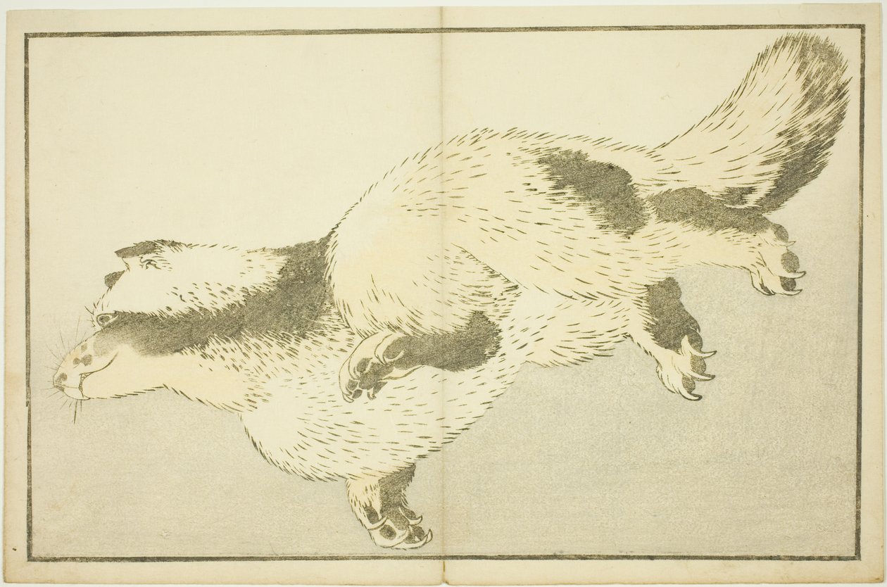 Fox, do livro ilustrado de pinturas realistas de Hokusai (Hokusai shashin gafu) de Katsushika Hokusai