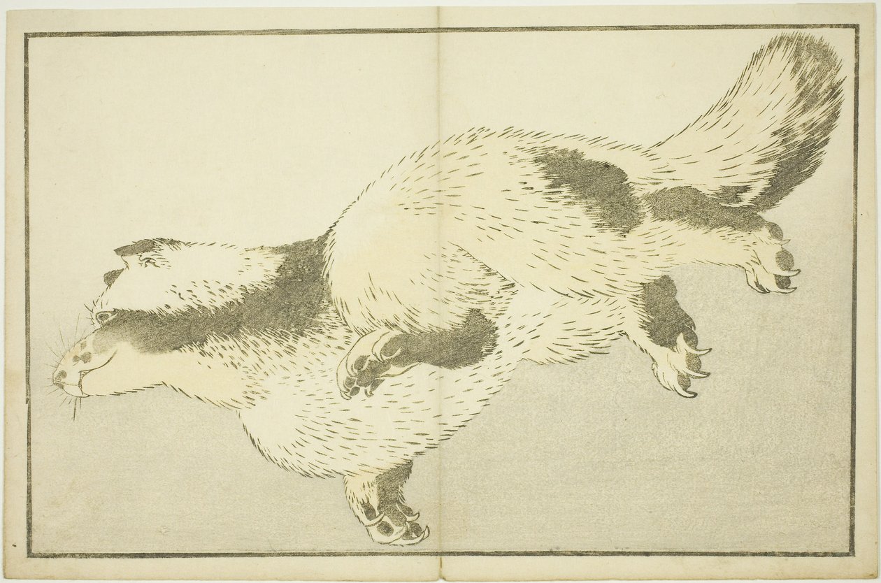 Raposa, de O Livro de Imagens de Pinturas Realistas de Hokusai (Hokusai shashin gafu) de Katsushika Hokusai