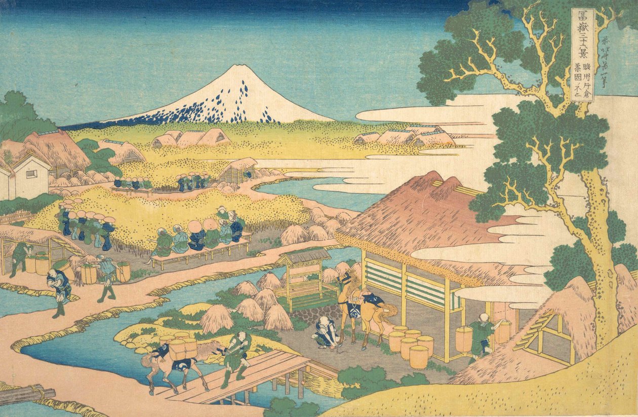 Fuji do membro do Katakura Thea Fie lds, mas um pequeno jardim de chá de saquê Katakura Fuji, do romt. .. .. , mosquito. 1830-32. de Katsushika Hokusai