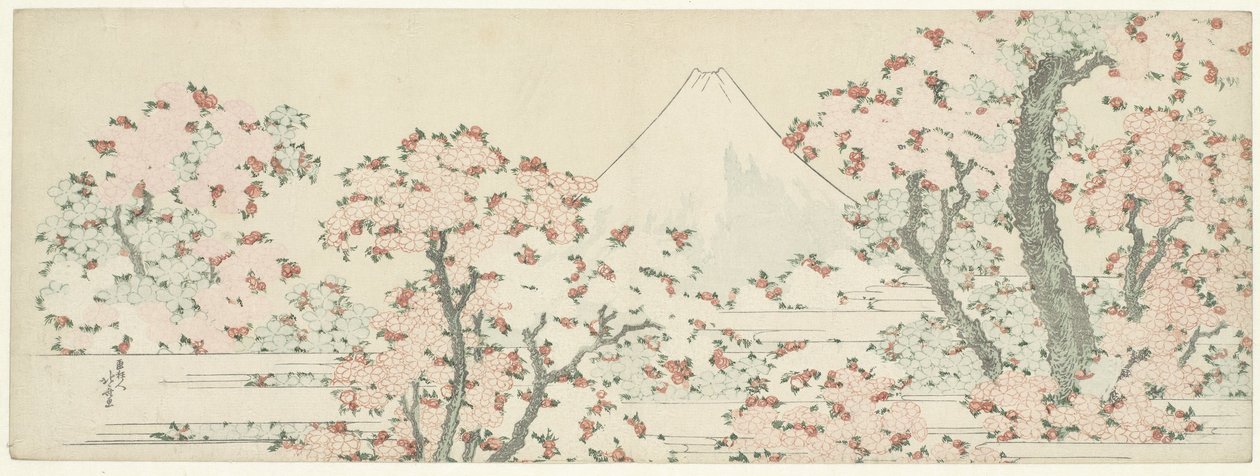 Fuji sobre flor de cerejeira, c.1800-1805 (xilogravura) de Katsushika Hokusai