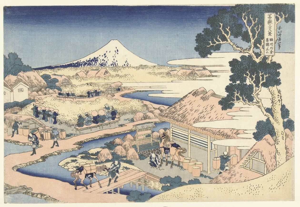 Fuji da plantação de chá Katakura na província de Suruga Sunshu Katakura chaen no Fuji (título do objeto) 36 Vistas do Monte Fuji (título da série) Fugaku sanjurokkei (título da série no objeto) de Katsushika Hokusai