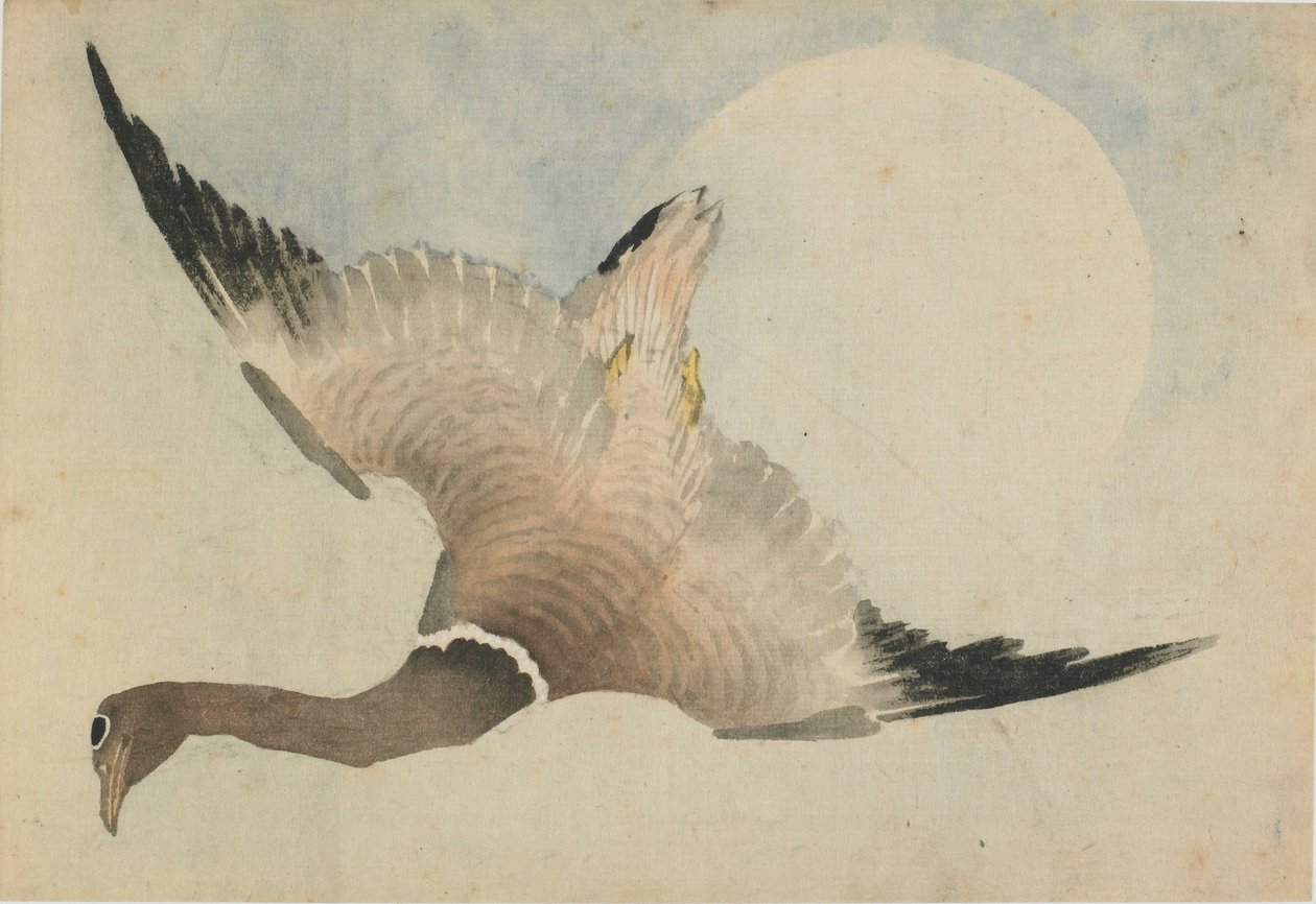 Ganso voando na frente da lua, final do século 18 e início do século 19. de Katsushika Hokusai