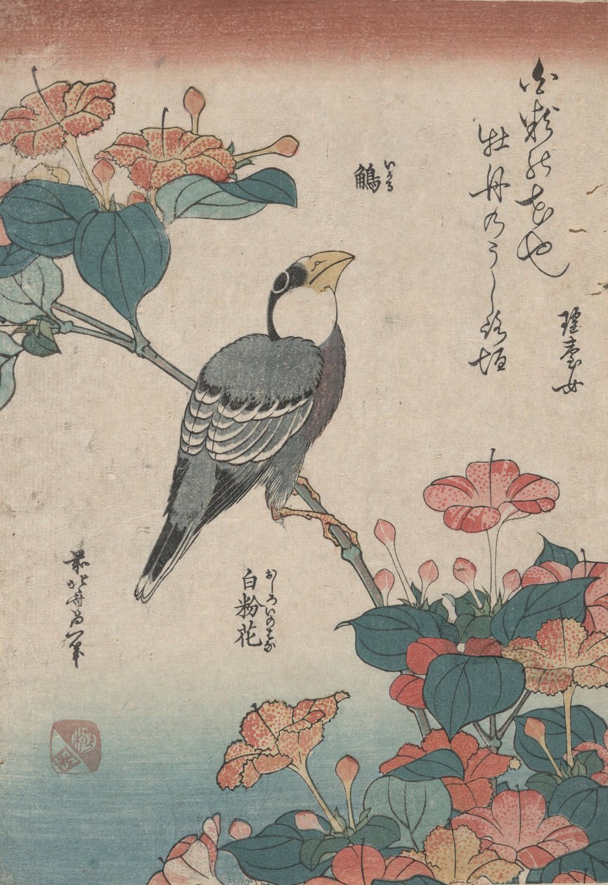 Grosbeak on Mirabilis, de uma série sem título chamada Small Flowers de Katsushika Hokusai
