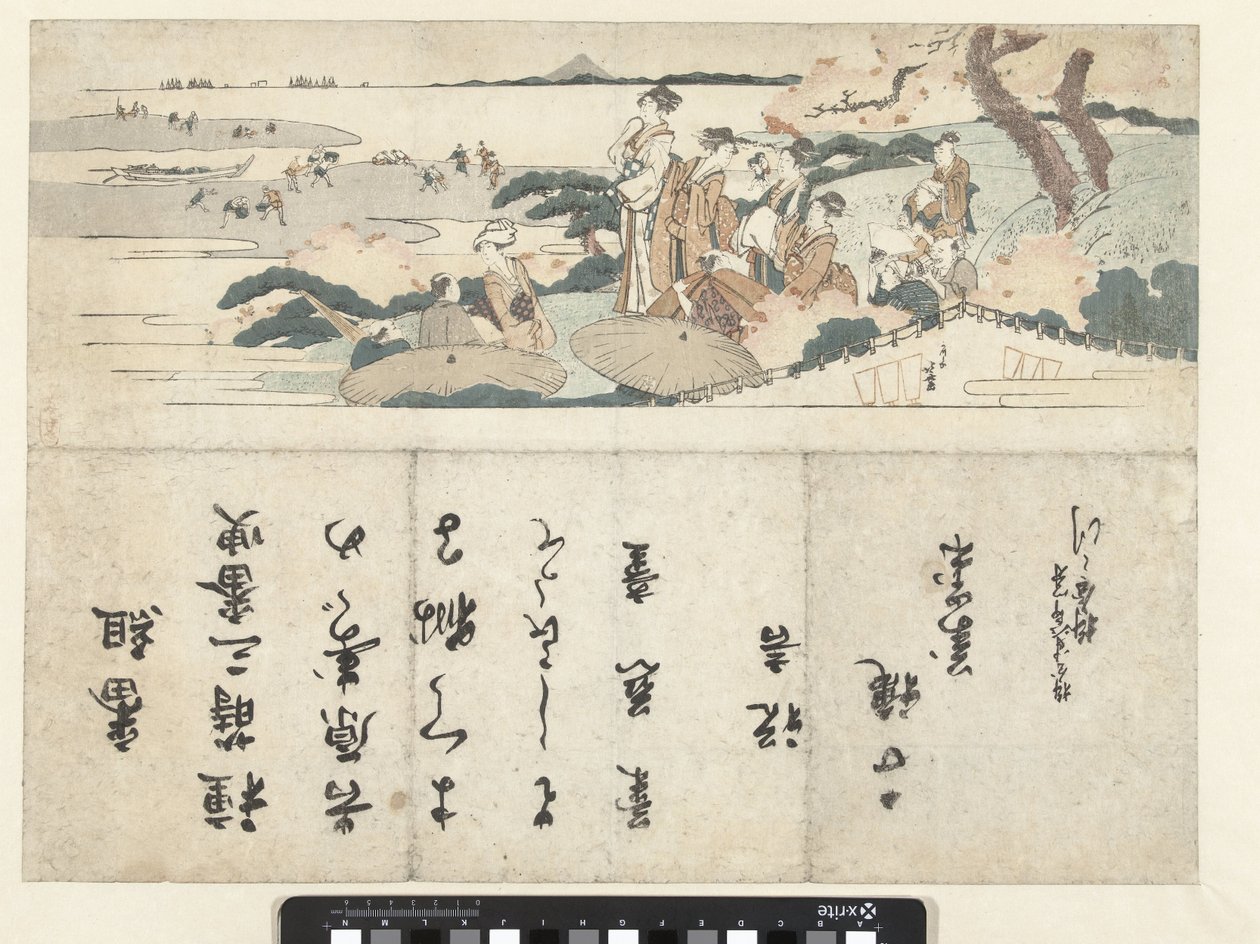 Ver a flor de cerejeira de Katsushika Hokusai