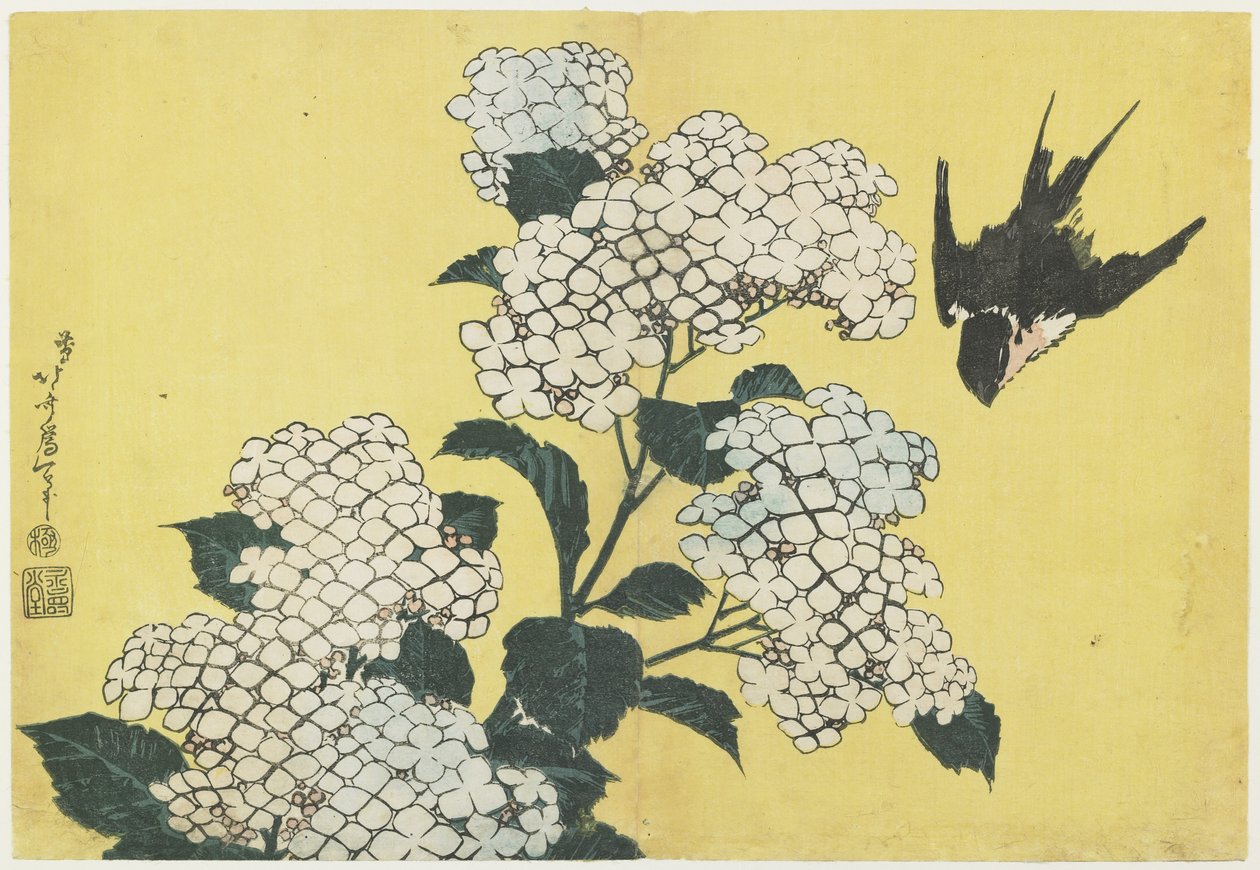 Hortênsia e andorinha, c. 1832 de Katsushika Hokusai