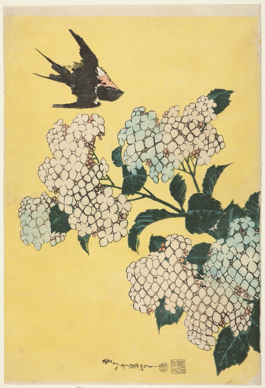 Hortênsia e andorinha, de uma série sem título de grandes flores de Katsushika Hokusai
