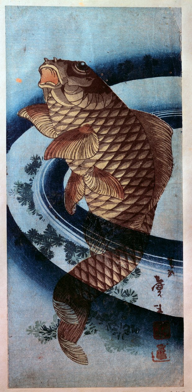Arte japonesa: uma carpa. gravura de Katsushika Hokusai (1760-1849) Paris do século XIX, Musee Guimet de Katsushika Hokusai